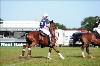 UKPA NC SAT_2149